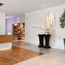 hilton garden inn mall of the emirates, dubai hotel,